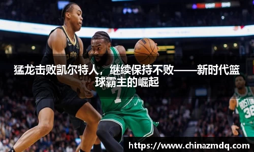 纳米体育网址