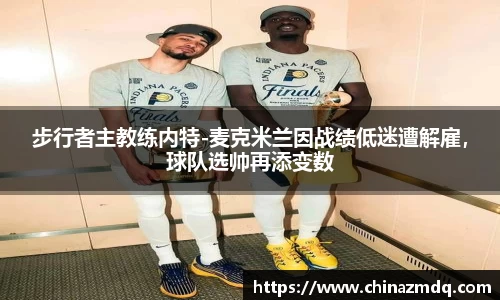 纳米体育网址