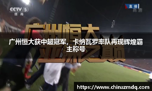 纳米体育注册